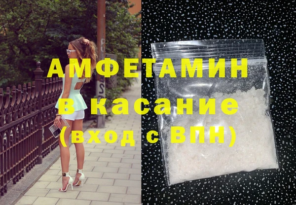 мдпв Богданович