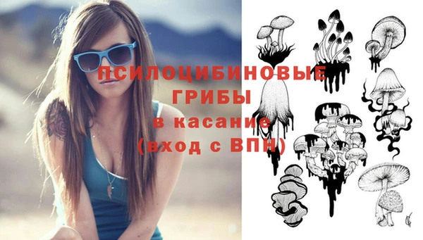 мескалин Богородск