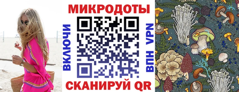 Галлюциногенные грибы Psilocybine cubensis  Волчанск 